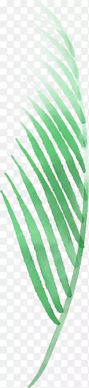 水墨棕榈叶矢量图