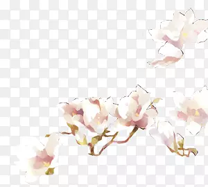 粉白色手绘花朵