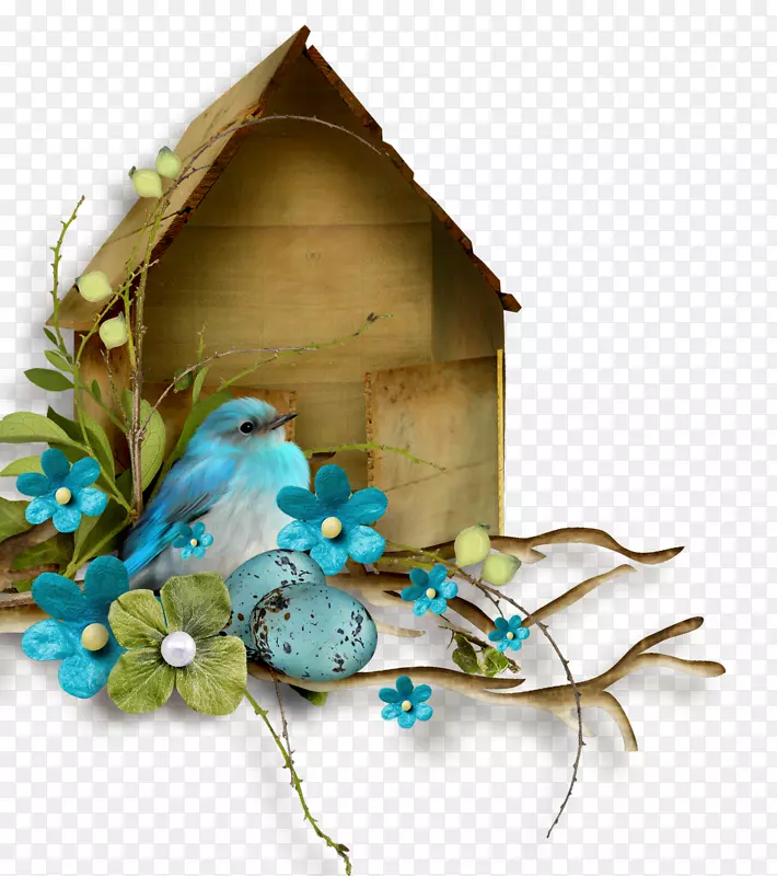 可爱的小鸟和木头鸟屋