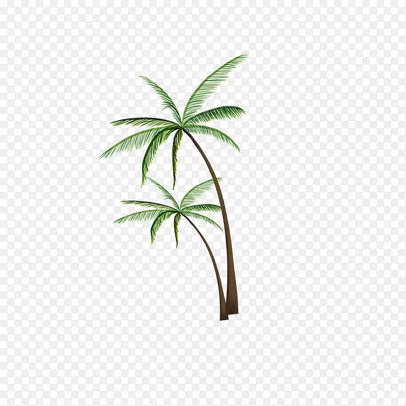 椰子树图案