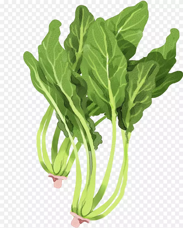 卡通绿色蔬菜免抠图