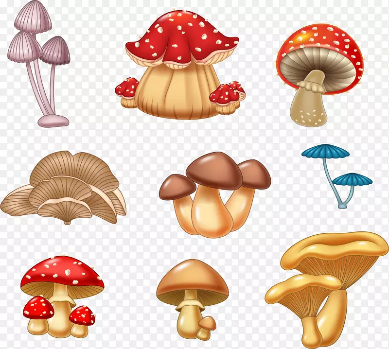 各种各样的蘑菇
