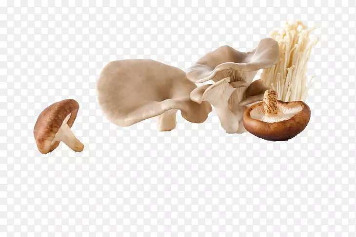 蘑菇、金针菇