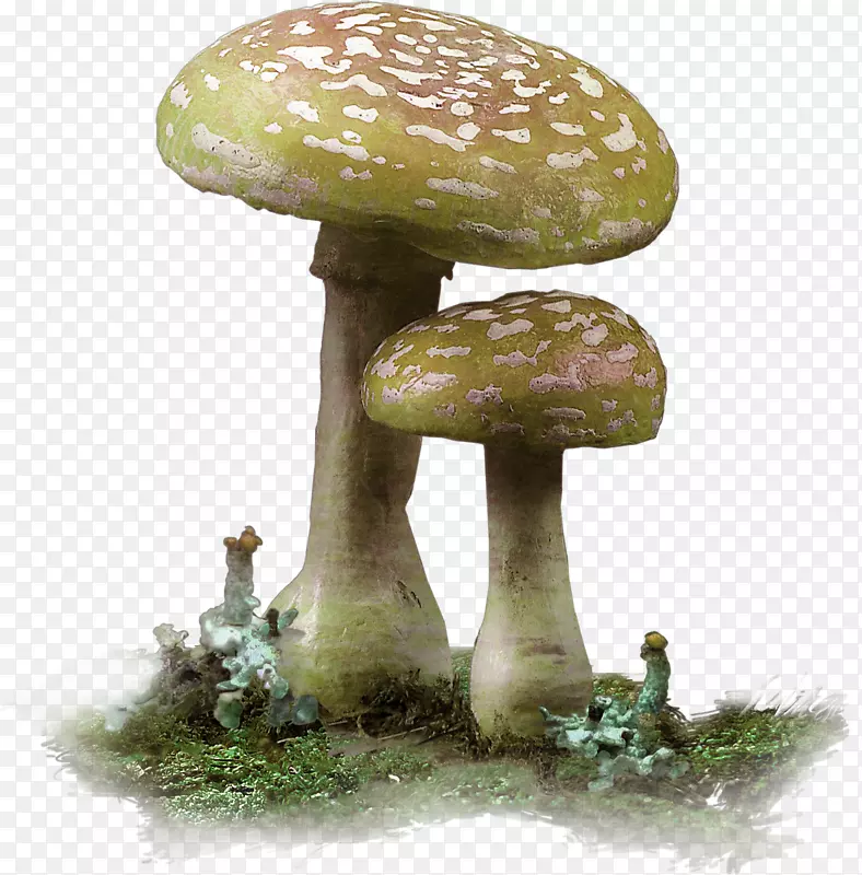 蘑菇森林装饰图案