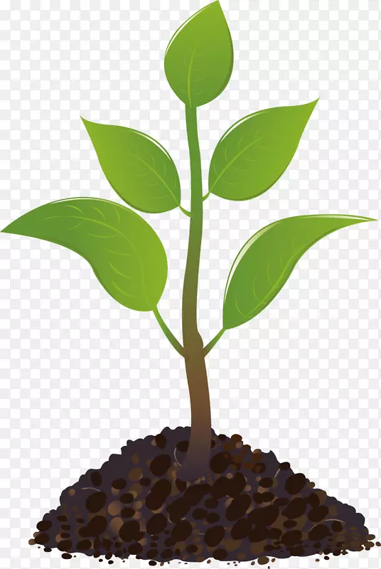 枝芽png矢量素材