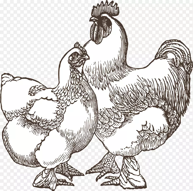 卡通公鸡母鸡设计原素