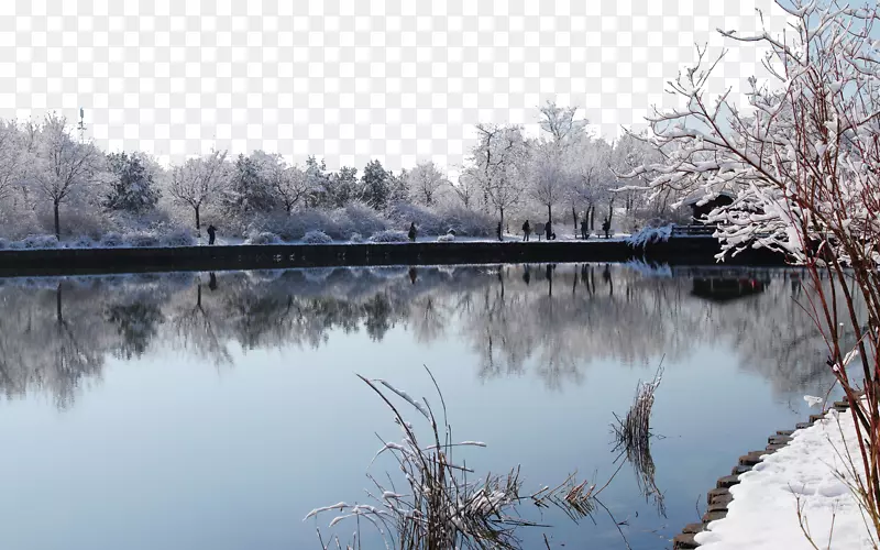 北京植物园雪景二