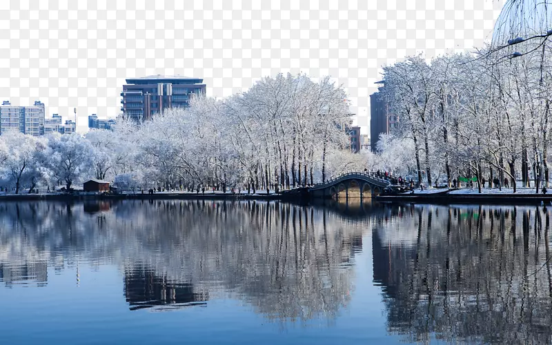 北京玉渊潭雪景一