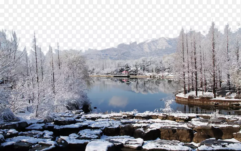 北京植物园雪景九