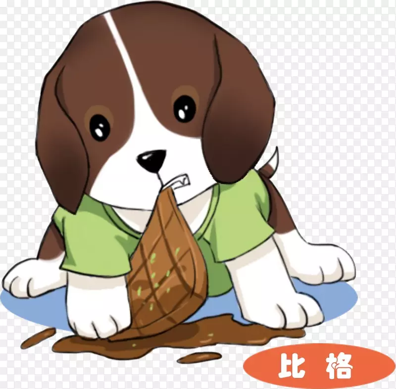 撕咬巧克力的比格小狗PNG图片素材下载_图片编号7442786-PNG素材网