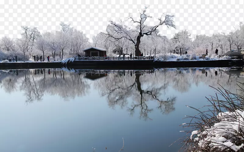 北京植物园雪景一