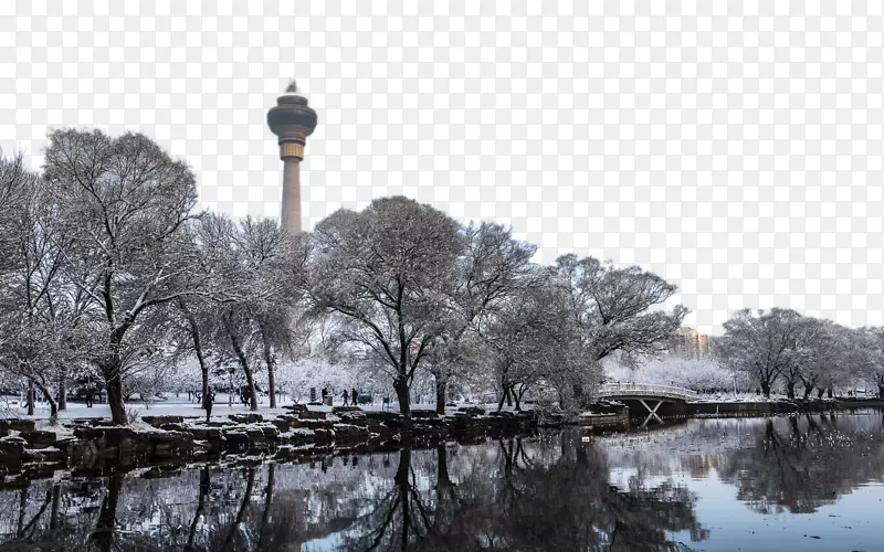 北京玉渊潭雪景六