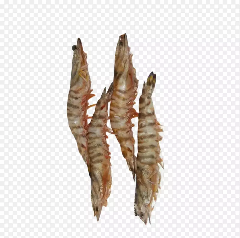 四条新鲜美味斑节虾