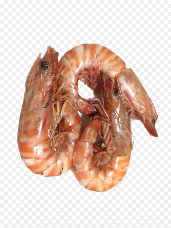 虾皮新鲜美味斑节虾