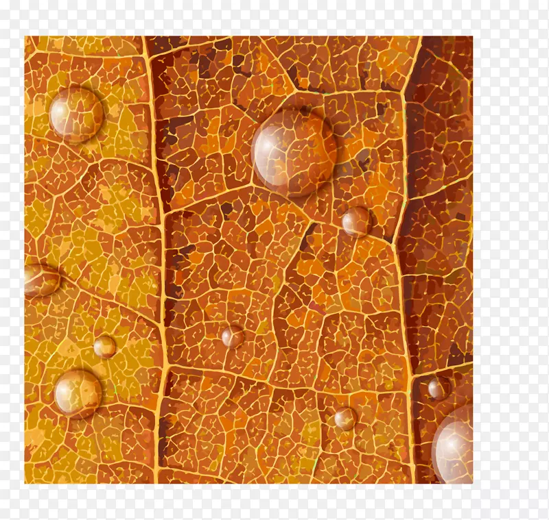 带露珠的秋季树叶矢量素材