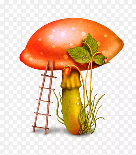 卡通手绘蘑菇素材