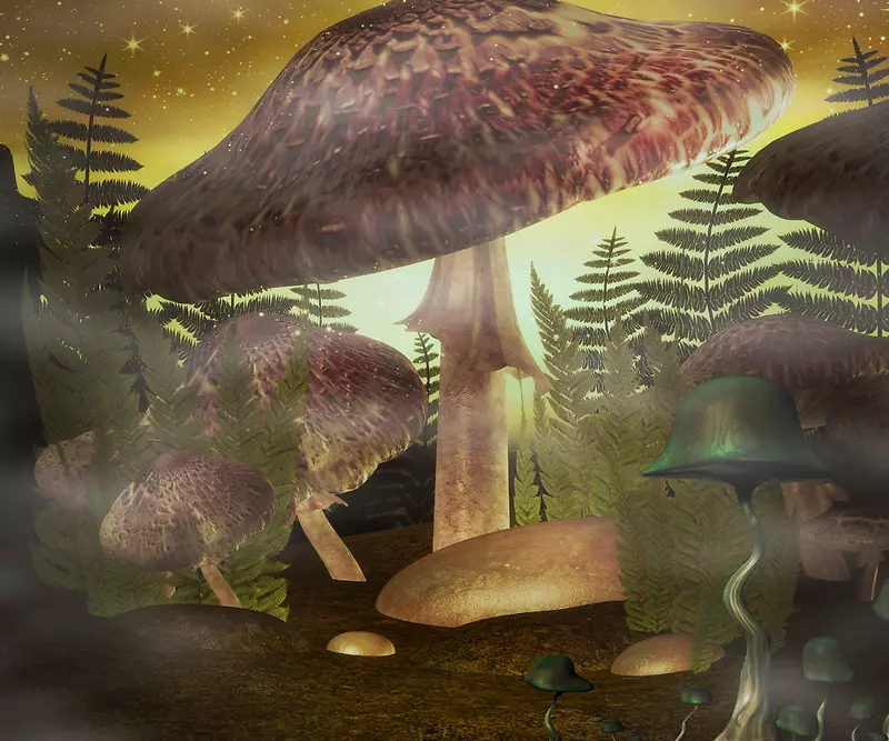 森林中的大蘑菇