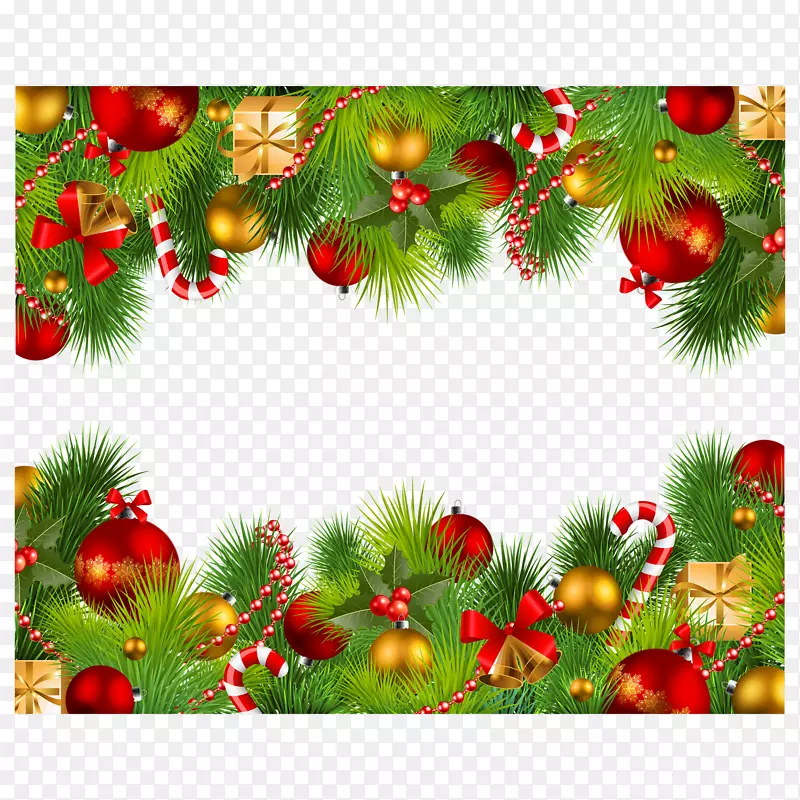 圣诞节植物装饰边框