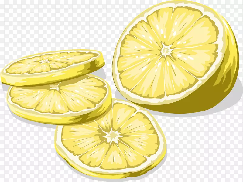 切开的柠檬片矢量图