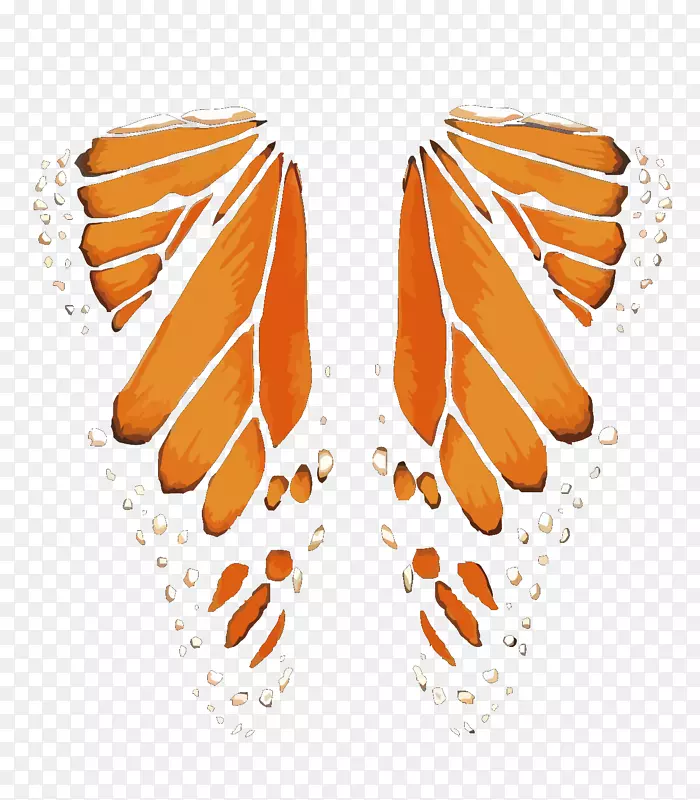 矢量橙色蝴蝶翅膀