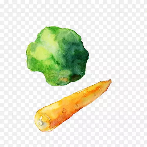 蔬菜手绘画素材图片