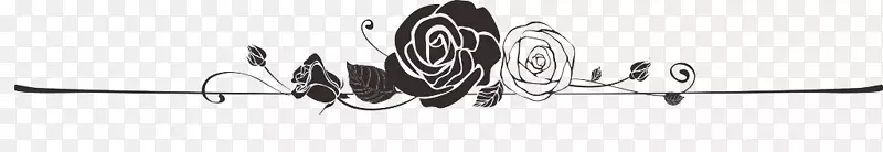 装饰 边框 玫瑰花