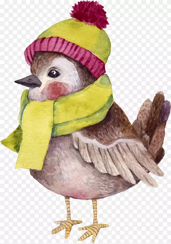 戴帽子和围巾的小鸟