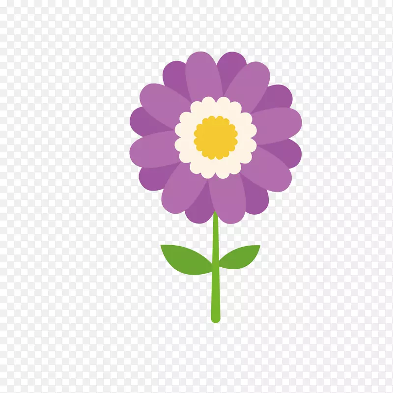 美丽紫色小菊花