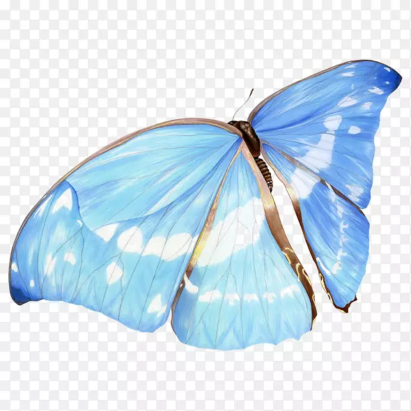 水彩蓝色的蝴蝶免抠图