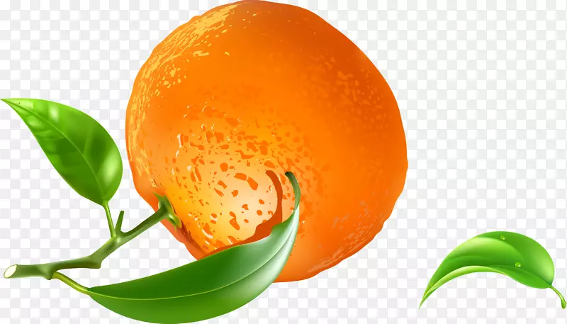 新鲜橘子水果png图