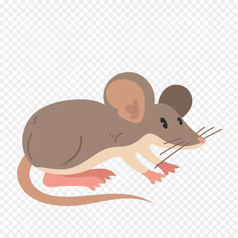 可爱小清新设计的老鼠