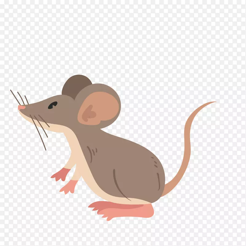 棕色可爱设计的老鼠