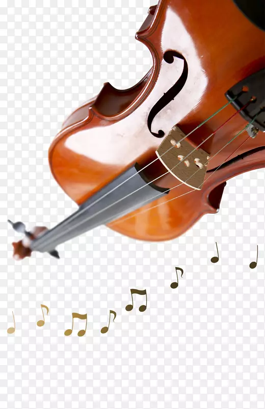 小提琴教学