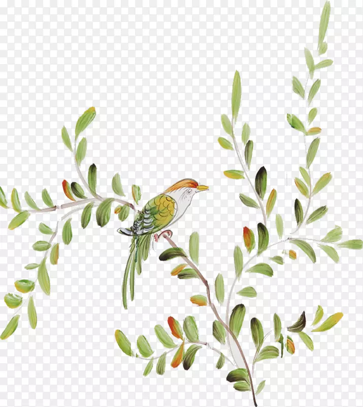 树枝上的小鸟水彩图