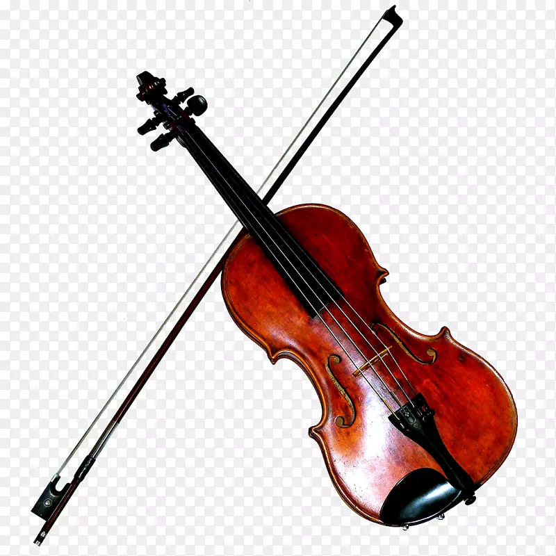 音乐室教学器材大提琴