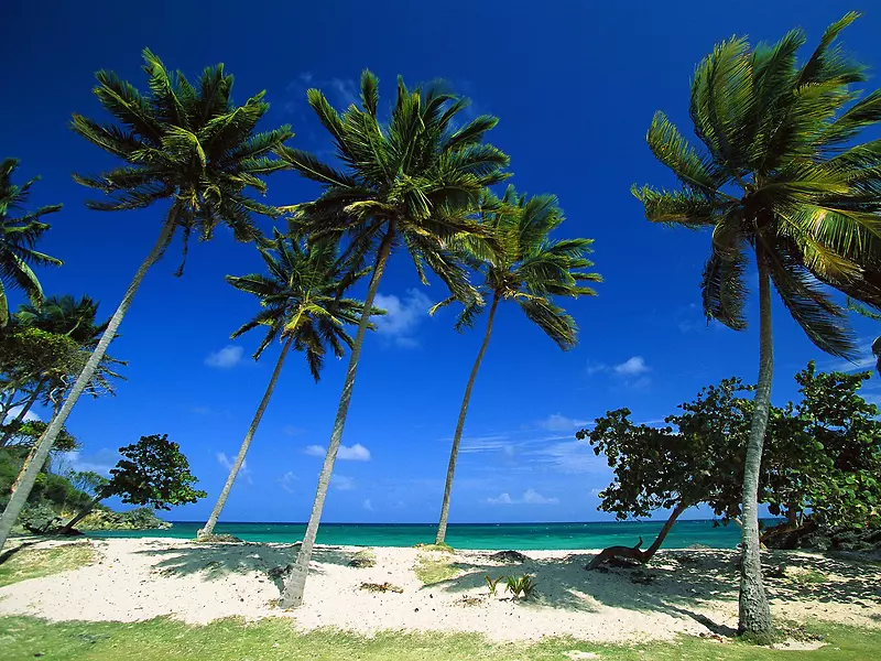 三亚高清合影沙滩海边椰子树