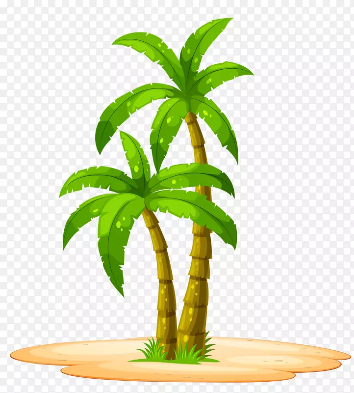 三亚椰子树
