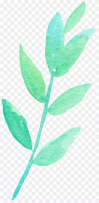 青绿色手绘叶子
