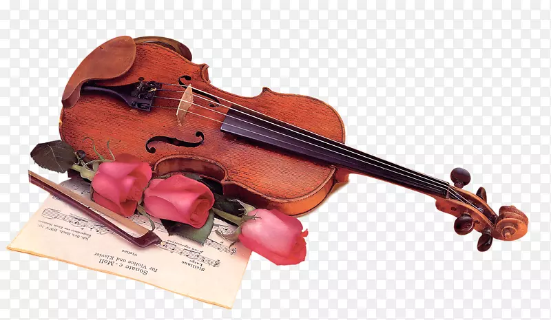木质吉他乐谱和玫瑰花
