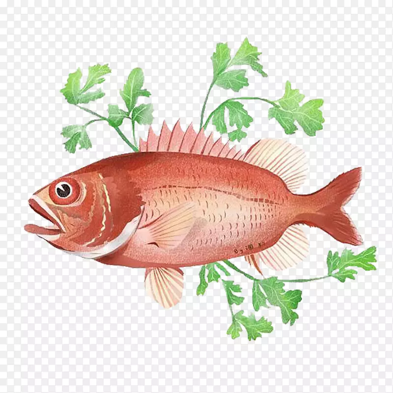 红色植物绘画鱼类图案