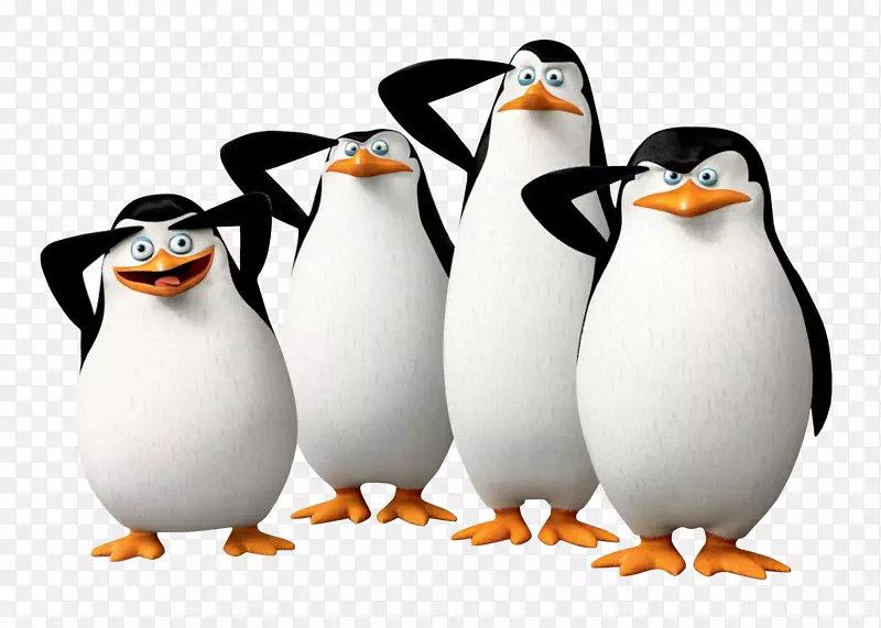 企鹅图案动画
