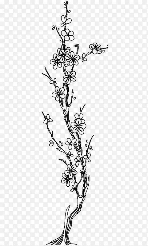 一棵挺拔的梅花树简笔画