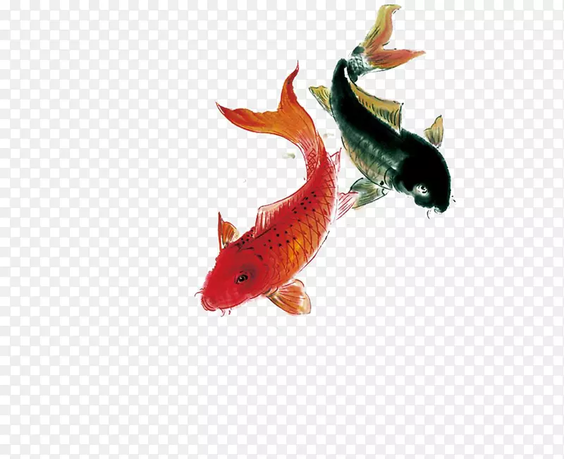 水墨彩绘鲤鱼图片
