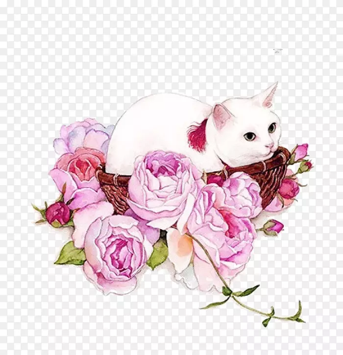 白猫与花
