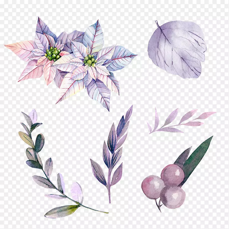 手绘紫色植物装饰