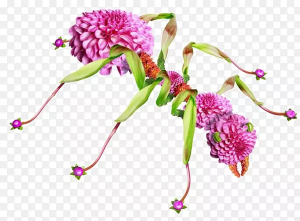 手工编织的花朵蚂蚁