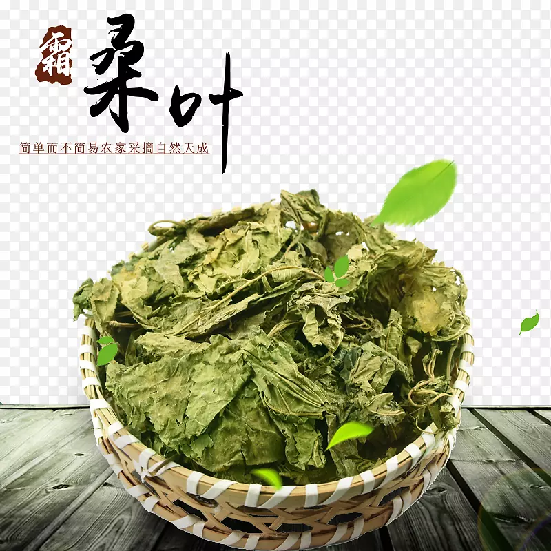 天然桑叶PNG图片素材下载_图片编号7478359-PNG素材网