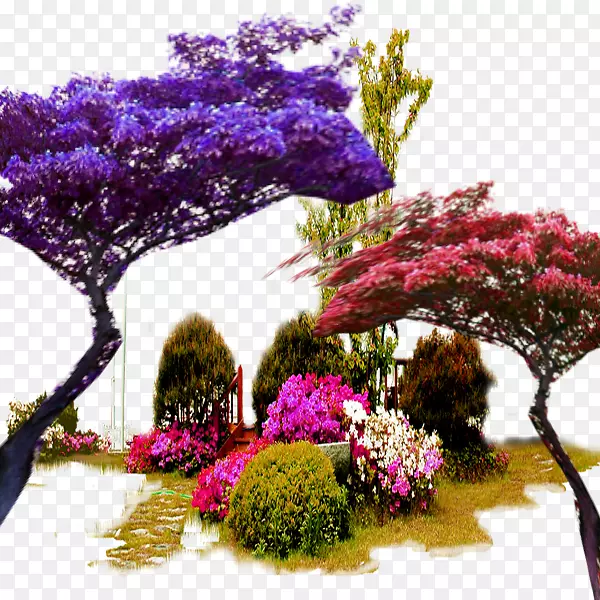实物彩色园林树木