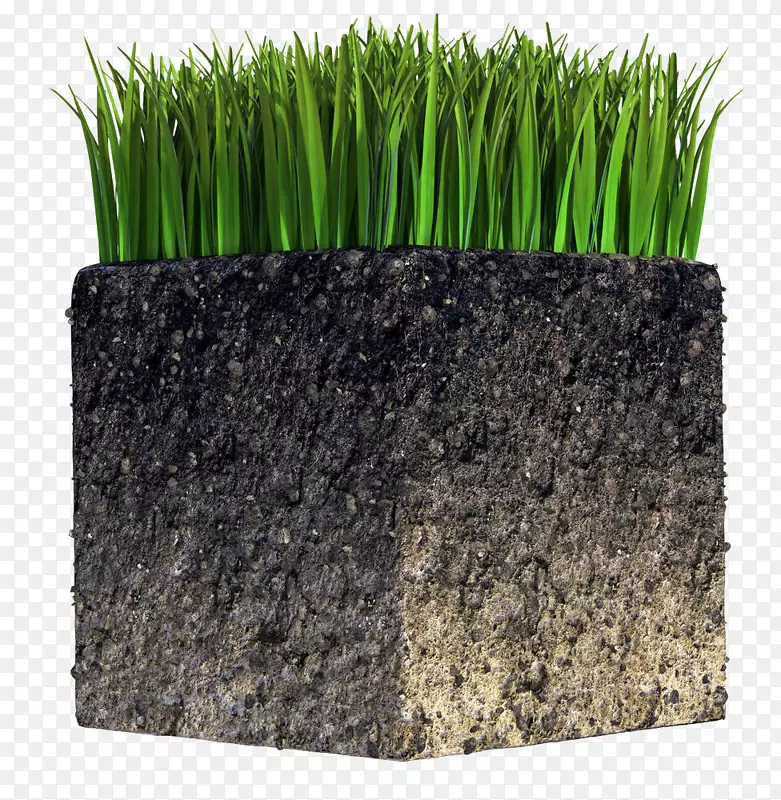 植物土壤立方体