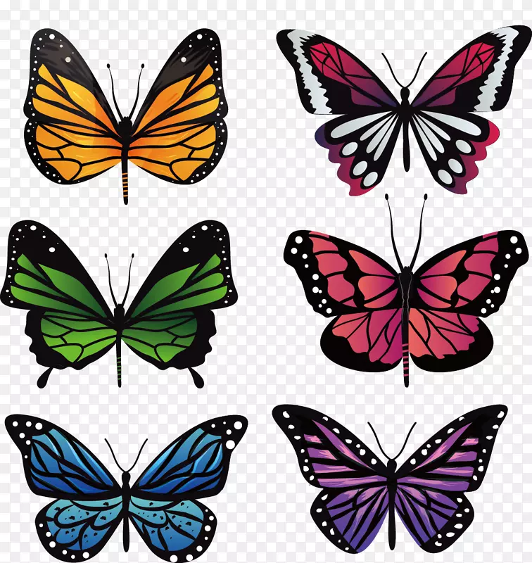 矢量手绘6个蝴蝶